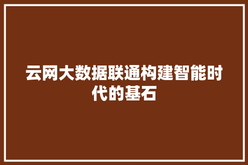 云网大数据联通构建智能时代的基石