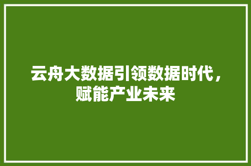 云舟大数据引领数据时代，赋能产业未来