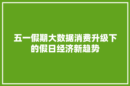 五一假期大数据消费升级下的假日经济新趋势