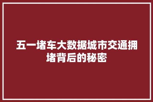 五一堵车大数据城市交通拥堵背后的秘密