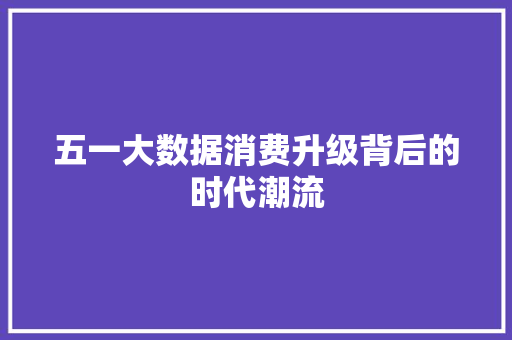 五一大数据消费升级背后的时代潮流