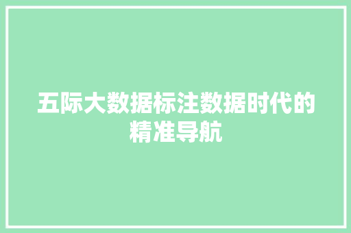 五际大数据标注数据时代的精准导航