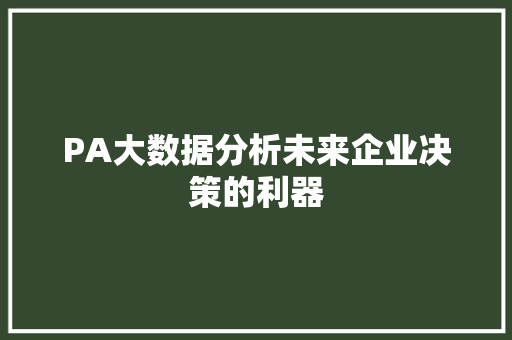 PA大数据分析未来企业决策的利器