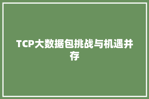TCP大数据包挑战与机遇并存 建站教程