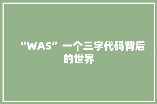 “WAS”一个三字代码背后的世界 WordPress教程