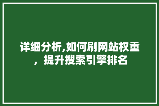 详细分析,如何刷网站权重，提升搜索引擎排名