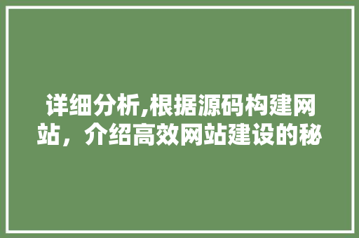 详细分析,根据源码构建网站，介绍高效网站建设的秘密