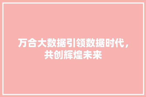 万合大数据引领数据时代，共创辉煌未来