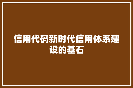 信用代码新时代信用体系建设的基石 建站教程