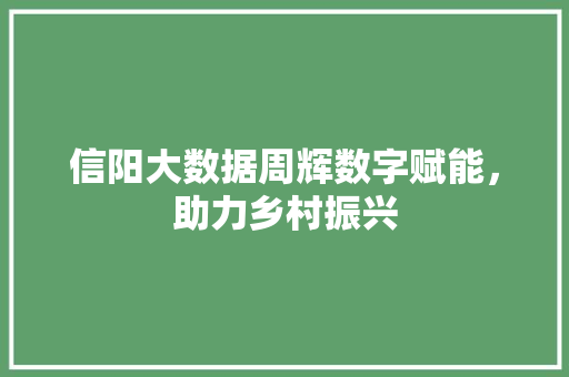 信阳大数据周辉数字赋能，助力乡村振兴 服务器/数据库