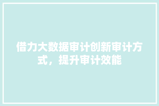 借力大数据审计创新审计方式，提升审计效能 服务器/数据库