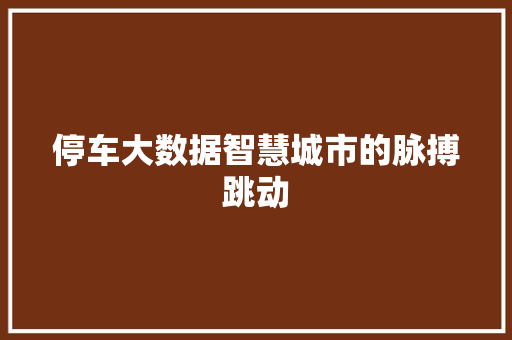 停车大数据智慧城市的脉搏跳动 服务器/数据库