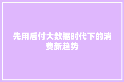 先用后付大数据时代下的消费新趋势 WordPress教程