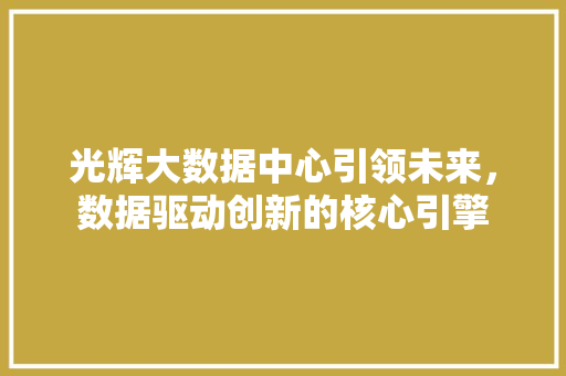光辉大数据中心引领未来，数据驱动创新的核心引擎 WordPress教程