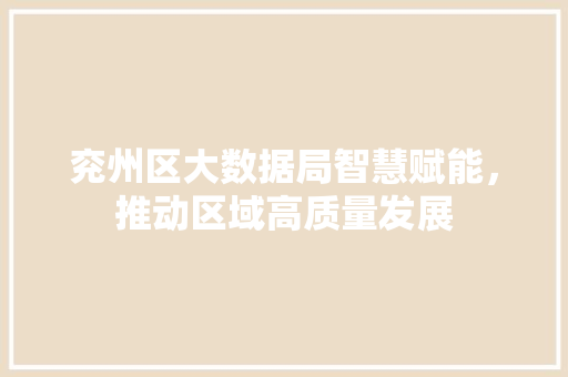 兖州区大数据局智慧赋能，推动区域高质量发展