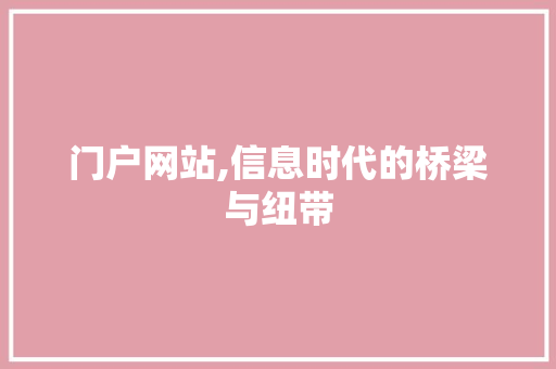 门户网站,信息时代的桥梁与纽带