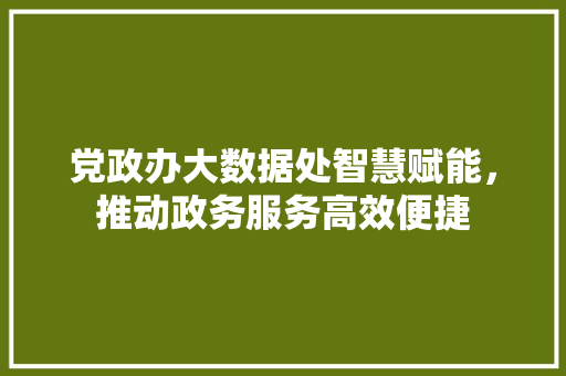 党政办大数据处智慧赋能，推动政务服务高效便捷