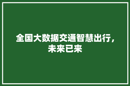 全国大数据交通智慧出行，未来已来