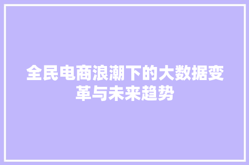 全民电商浪潮下的大数据变革与未来趋势 SEO教程