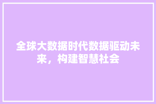 全球大数据时代数据驱动未来，构建智慧社会