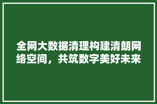 全网大数据清理构建清朗网络空间，共筑数字美好未来