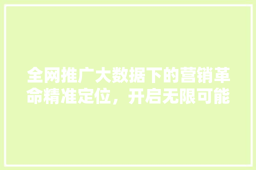 全网推广大数据下的营销革命精准定位，开启无限可能