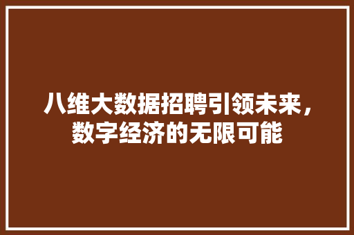 八维大数据招聘引领未来，数字经济的无限可能 SEO教程