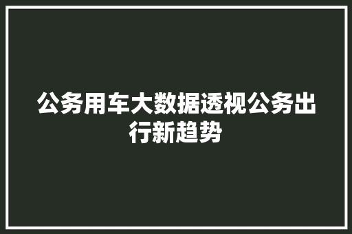 公务用车大数据透视公务出行新趋势