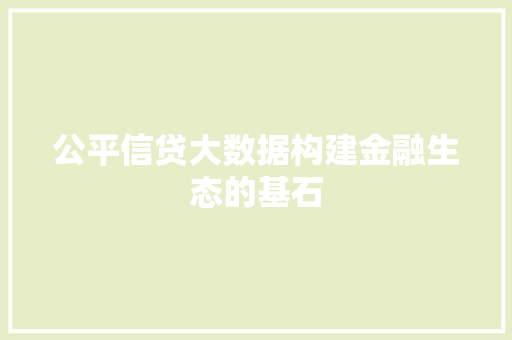 公平信贷大数据构建金融生态的基石 服务器/数据库