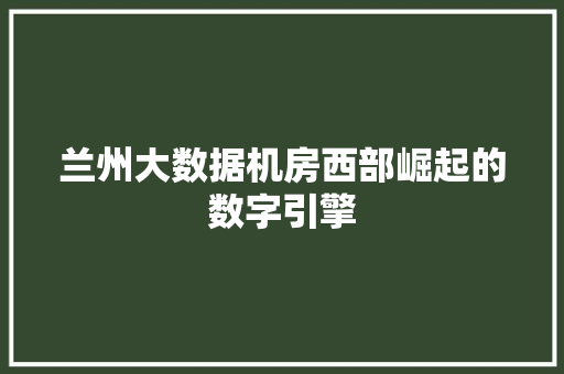兰州大数据机房西部崛起的数字引擎 SEO教程