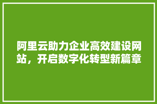 阿里云助力企业高效建设网站，开启数字化转型新篇章 阿里云助力企业高效建设网站，开启数字化转型新篇章 SEO教程