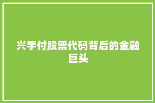 兴手付股票代码背后的金融巨头