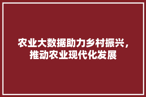 农业大数据助力乡村振兴，推动农业现代化发展