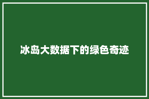 冰岛大数据下的绿色奇迹 服务器/数据库
