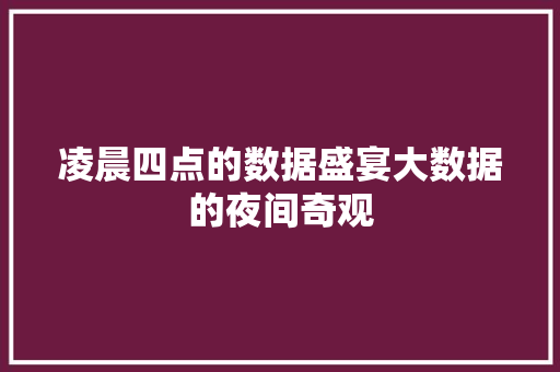 凌晨四点的数据盛宴大数据的夜间奇观