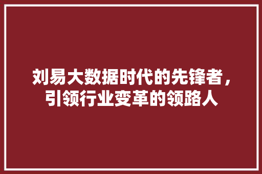 刘易大数据时代的先锋者，引领行业变革的领路人 SEO教程