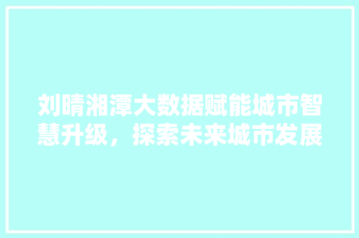 刘晴湘潭大数据赋能城市智慧升级，探索未来城市发展新路径