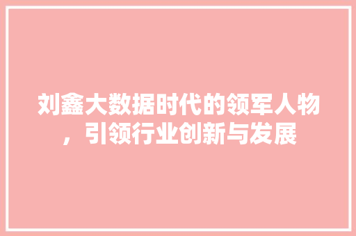 刘鑫大数据时代的领军人物，引领行业创新与发展 服务器/数据库