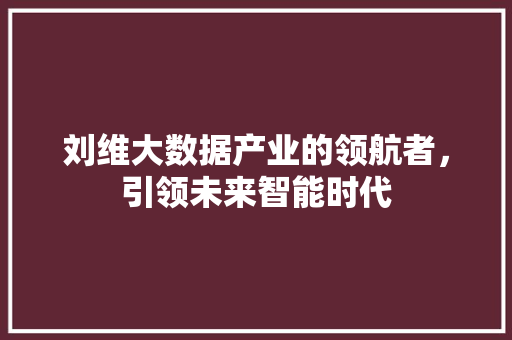 刘维大数据产业的领航者，引领未来智能时代 建站教程
