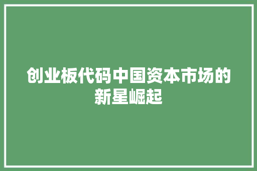 创业板代码中国资本市场的新星崛起 SEO教程