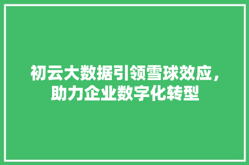 初云大数据引领雪球效应，助力企业数字化转型