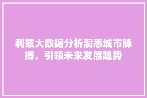 利兹大数据分析洞悉城市脉搏，引领未来发展趋势