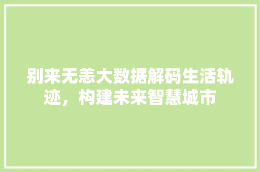 别来无恙大数据解码生活轨迹，构建未来智慧城市