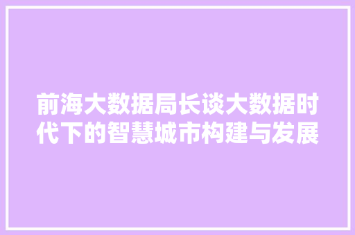 前海大数据局长谈大数据时代下的智慧城市构建与发展 WordPress教程