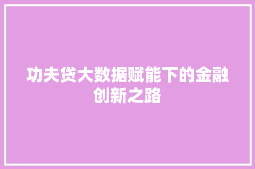 功夫贷大数据赋能下的金融创新之路