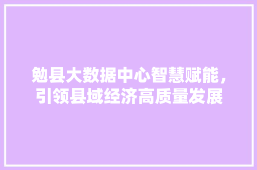 勉县大数据中心智慧赋能，引领县域经济高质量发展 服务器/数据库