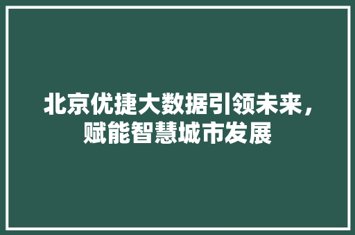 北京优捷大数据引领未来，赋能智慧城市发展 Web前端