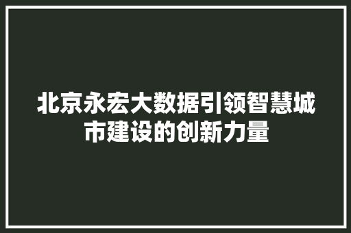 北京永宏大数据引领智慧城市建设的创新力量