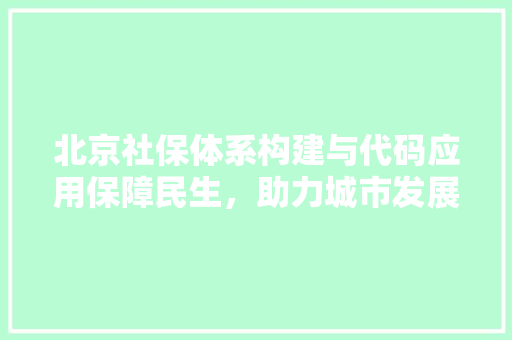 北京社保体系构建与代码应用保障民生，助力城市发展
