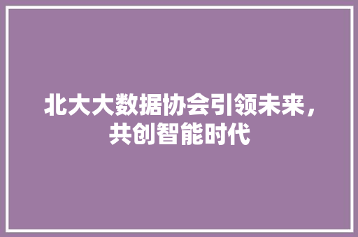 北大大数据协会引领未来，共创智能时代 SEO教程
